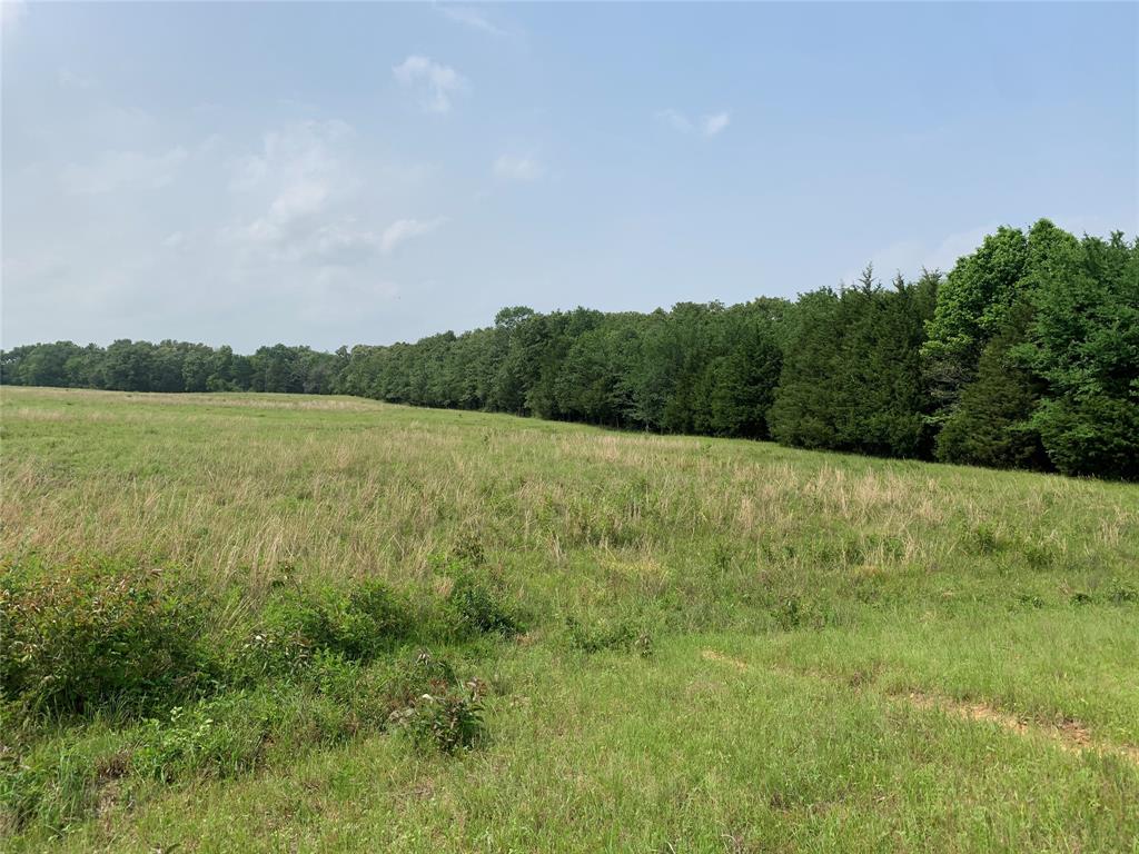 Phillip Mason Survey, A-502 - Land