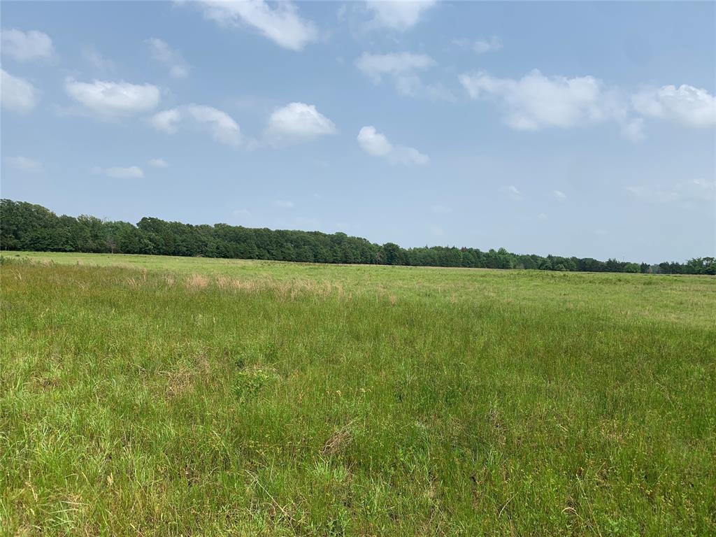 Phillip Mason Survey, A-502 - Land