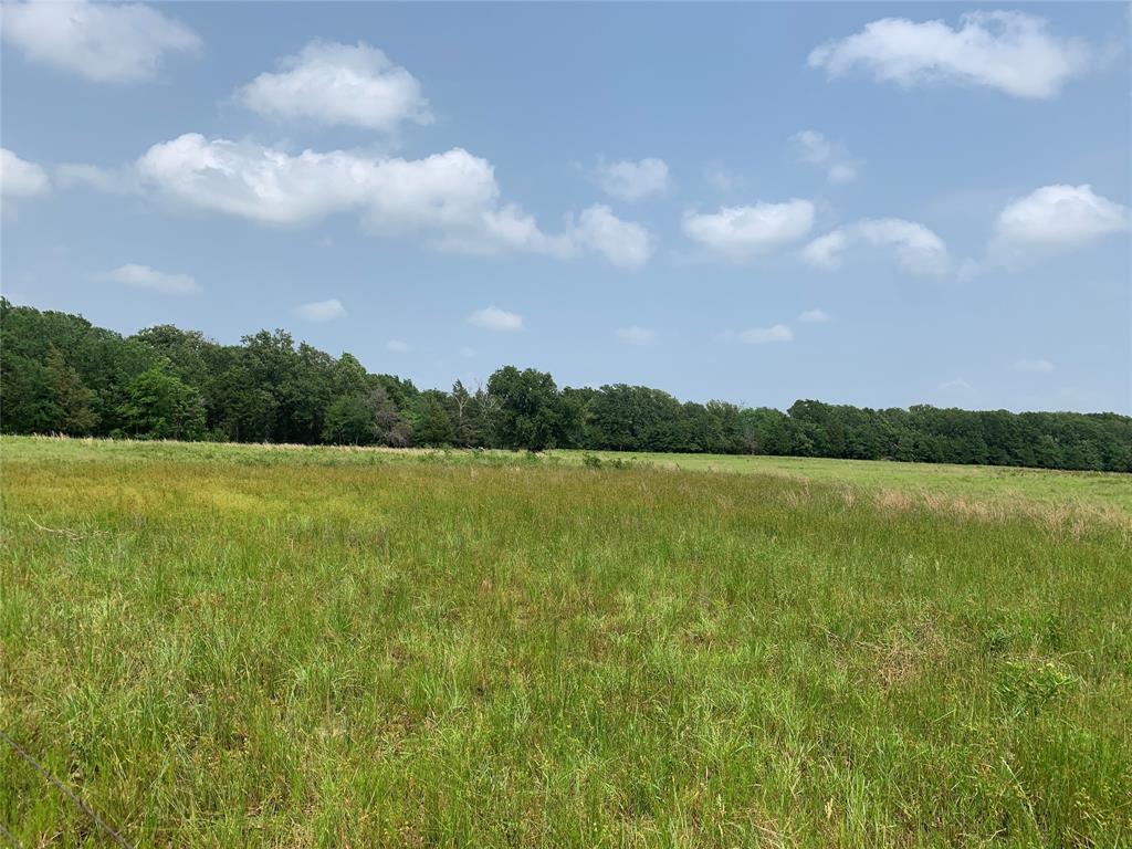 Phillip Mason Survey, A-502 - Land