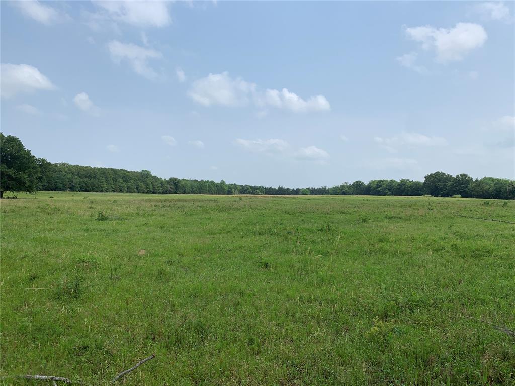 Phillip Mason Survey, A-502 - Land