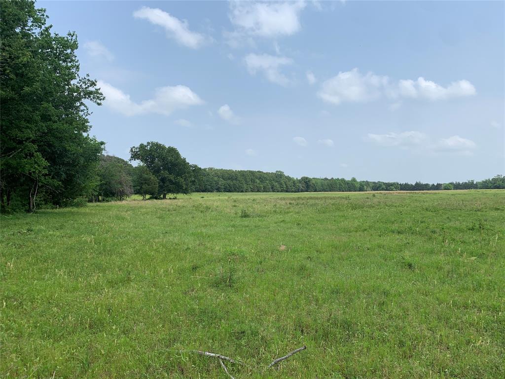 Phillip Mason Survey, A-502 - Land