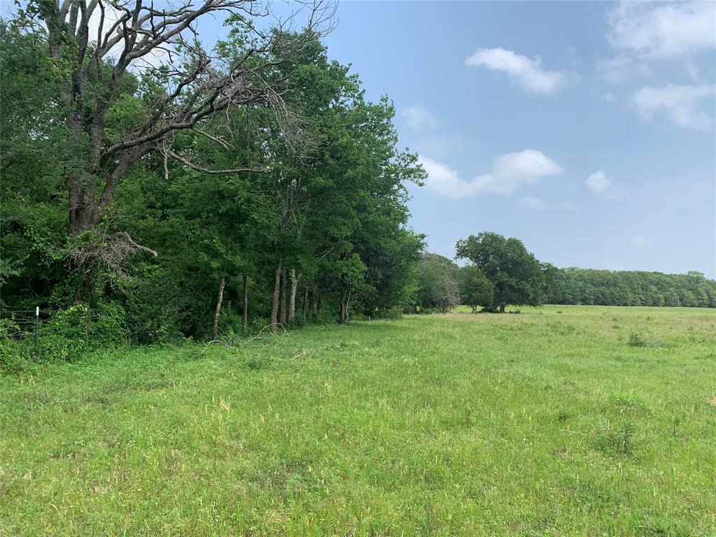 Phillip Mason Survey, A-502 - Land