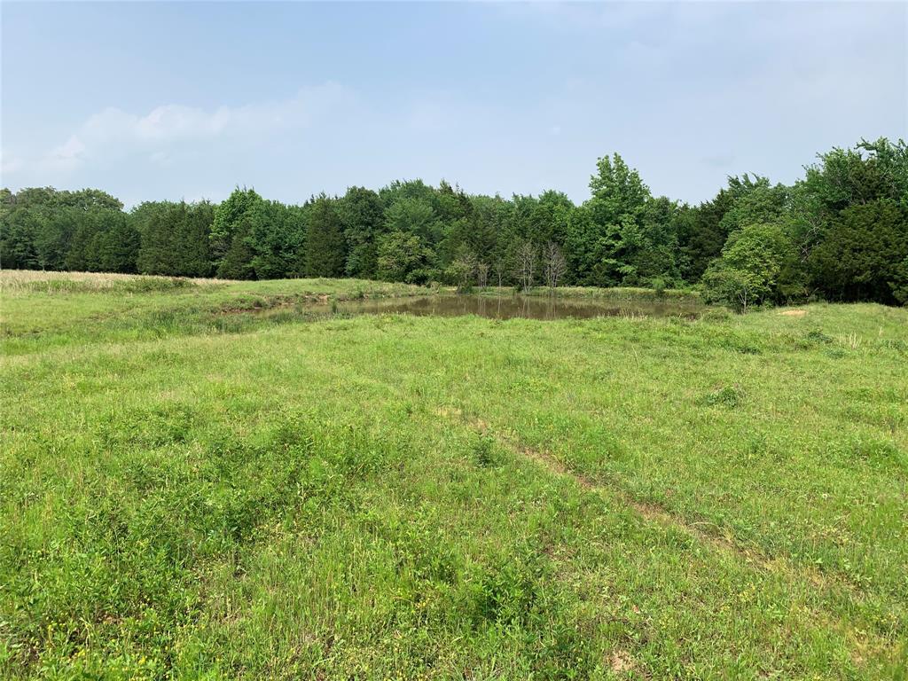 Phillip Mason Survey, A-502 - Land