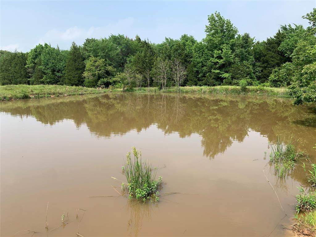 Phillip Mason Survey, A-502 - Land