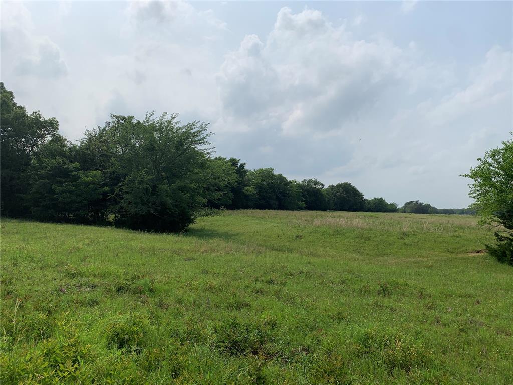 Phillip Mason Survey, A-502 - Land