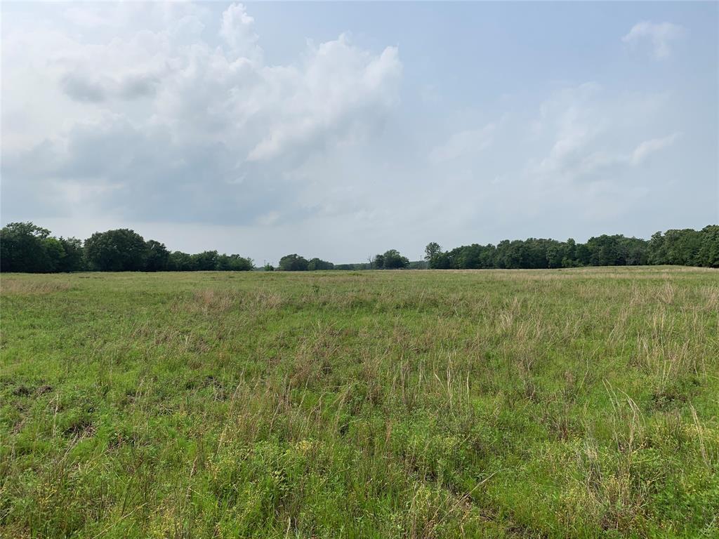 Phillip Mason Survey, A-502 - Land