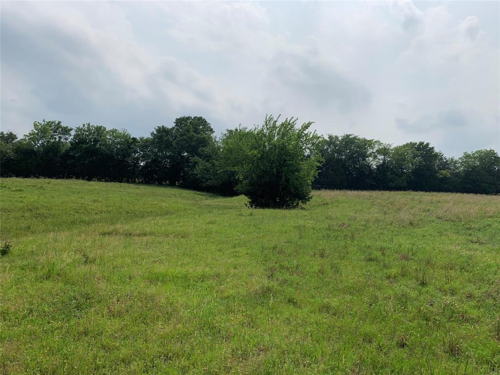 Phillip Mason Survey, A-502 - Land