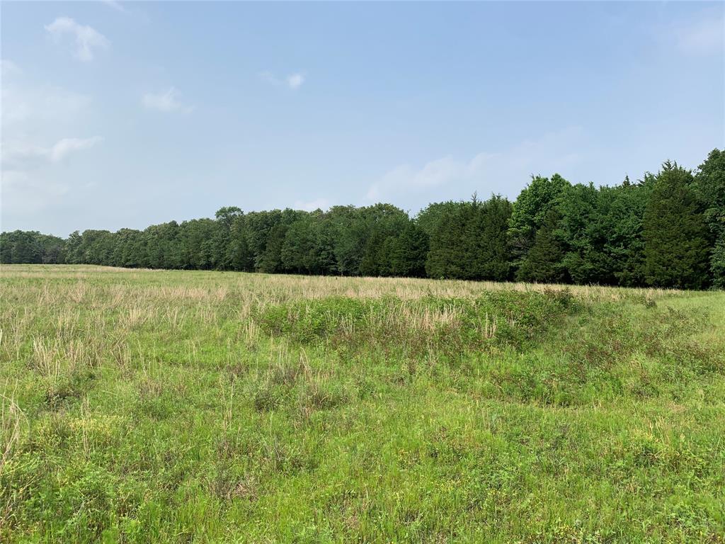 Phillip Mason Survey, A-502 - Land