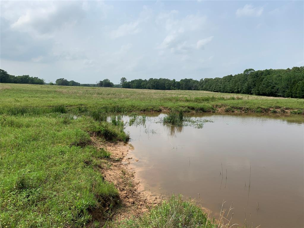 Phillip Mason Survey, A-502 - Land