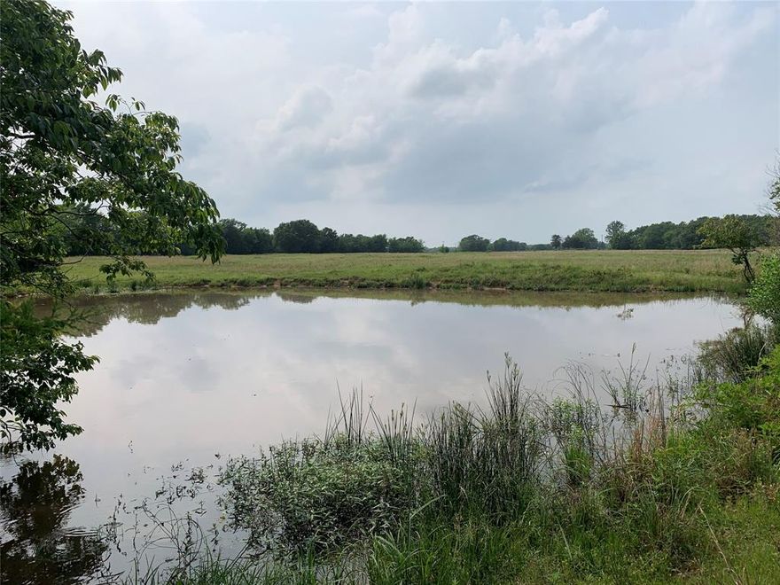 This is a beautiful, tree lined property with a nice pond in the back.  Peaceful and quiet living out in the country but still close to town and only an 1 hour from Dallas. This would make for a perfect setup for a new homestead. Plenty of room for your toys and animals. Come take a look!
