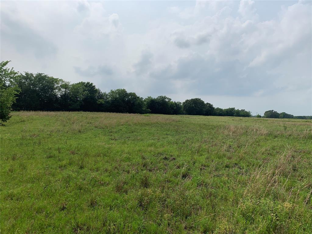 Phillip Mason Survey, A-502 - Land