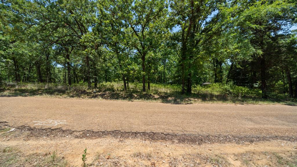 00 Hickory Street Lot 89 - Photo 3