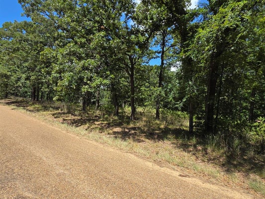 4 HICKORY CIR, MALAKOFF, TX 75148 - Image 8798fcda84e0572706f8bfa58b7a4eaf/97986612