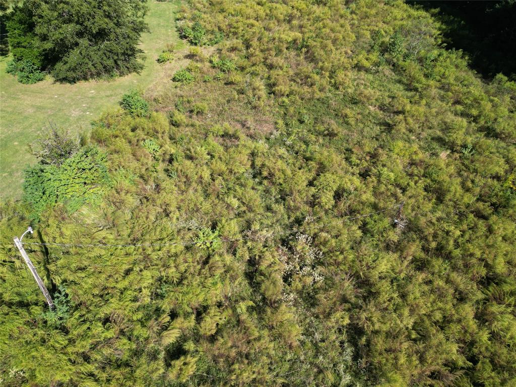 City of Rodessa - Land