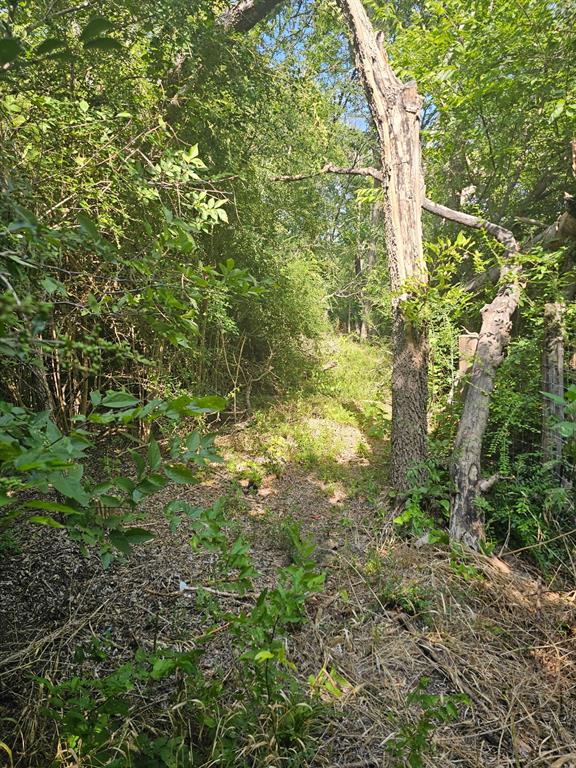 215 N Houston School Road