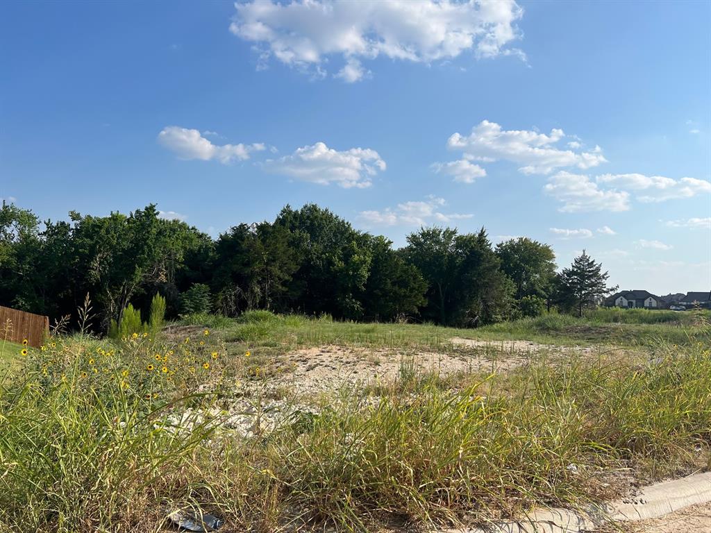 Bryson Manor Ph 3 - Land