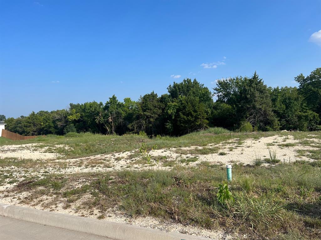 Bryson Manor Ph 3 - Land