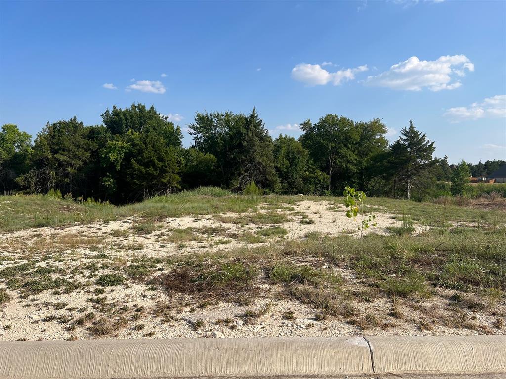 Bryson Manor Ph 3 - Land