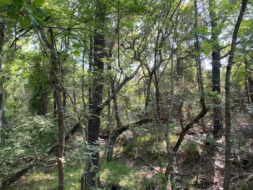 12.4212 ACRES - Heavily wooded with power and community water available. The property is a wildlife haven with choice homesites if desired. Additional acreage is available for purchase. See Broker for details.
