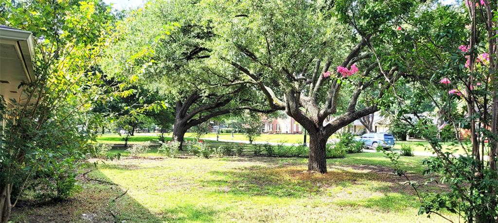 Wm Baskins - Residential Lease