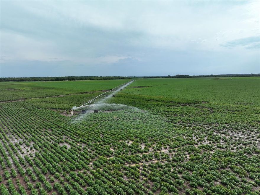 Just North of Dekalb, TX you will find the highly sought-after Red River bottom farm land. A highly productive irrigated farm with 1250 tillable acres and 950 irrigated acres. This property offers a mix of opportunities whether that is row crop farming or cattle. Currently being farmed with corn, cotton, soybeans, wheat, and grazing cattle on wheat. There are 5 pivots and 3 pump stations supplying the water to those pivots with water rights out of the Red River. Seller would entertain a lease back to the new owner providing a competitive cash lease to any investor.
