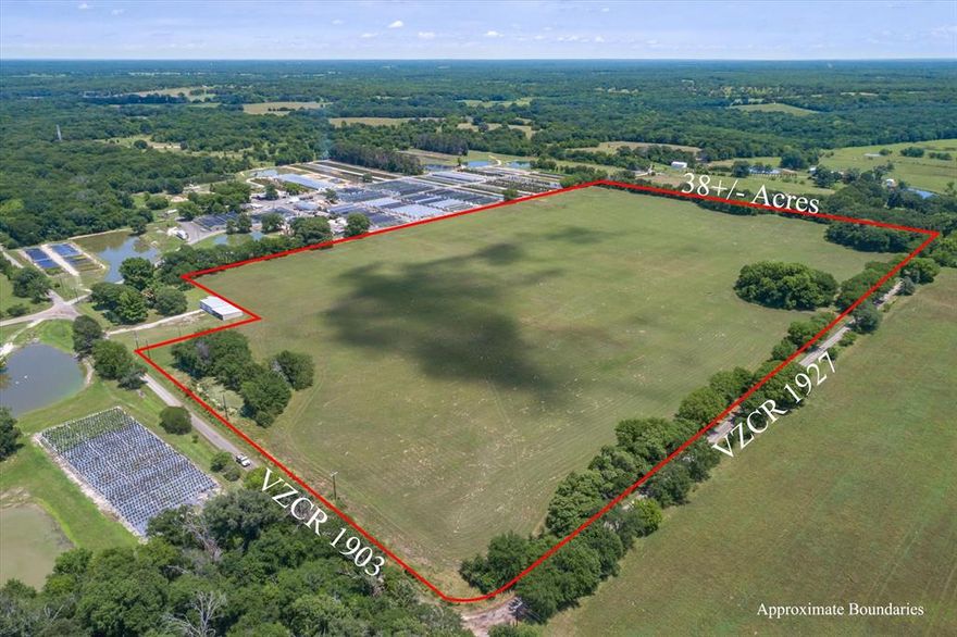 Raw Land in Edgewood ISD! Easy access to highway 19. County Road frontage on three sides. No known restrictions. Easy development tract of land with few trees. no utilities installed.