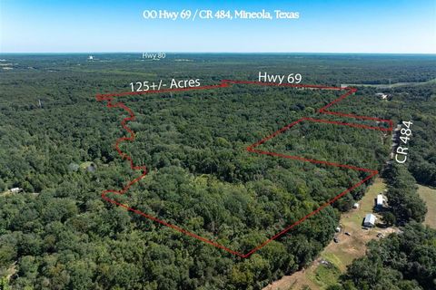 00 Hwy 69 / CR 484 Mineola TX 75773
