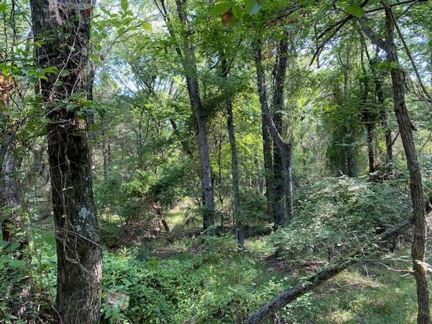 12.4211 ACRES - Heavily wooded with power and community water available. The property is a wildlife haven with choice homesites if desired. Additional acreage is available for purchase. See Broker for details.
