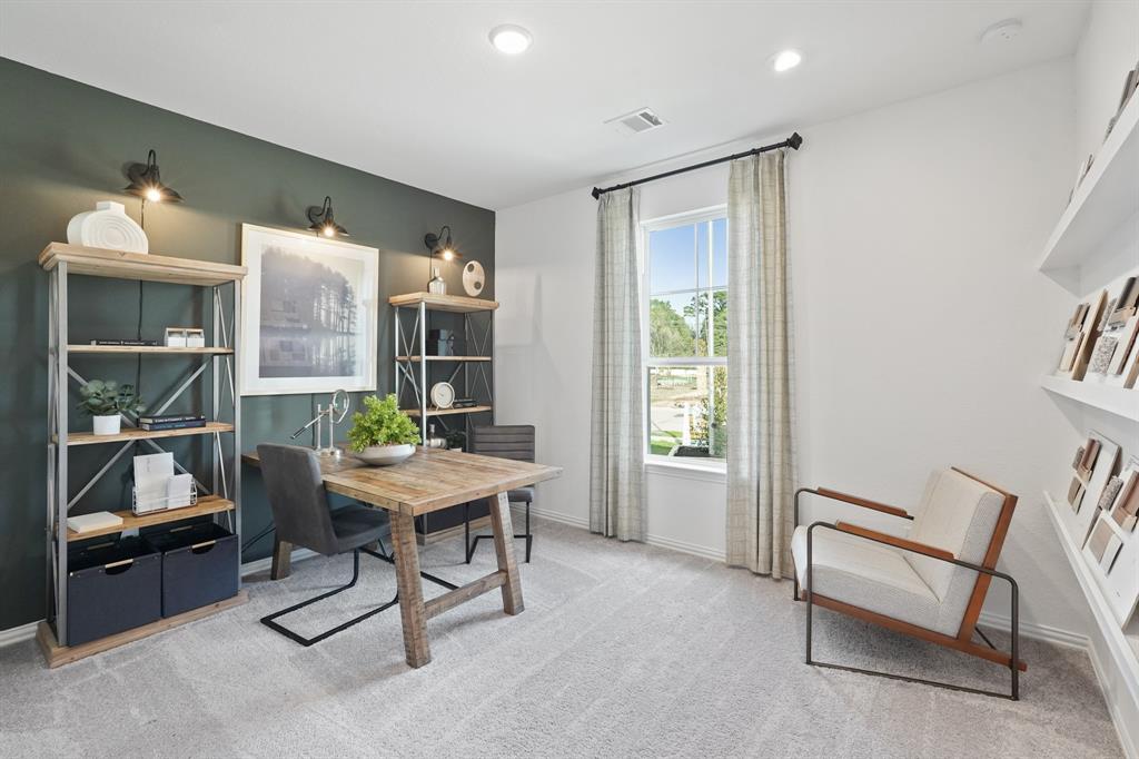 Palmilla Springs - Residential