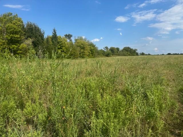 240 Vz County Road 3423