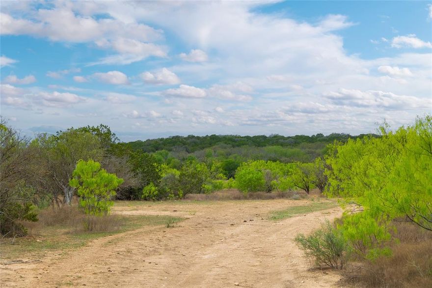 429.06 acres located in McCulloch County that is a hunters paradise. Abundant Cover and clearing with good elevation. Water is plentiful with
4 tanks all having water. Wildlife includes Deer, Dove, Hogs and Waterfowl. Oak, Mesquite, Cedar and Brush for cover. Fences are barbed wire and in
good shape so you could run cattle.
There is an old house across the road that is included that could be replaced with a hunting cabin or mobile home.
Electricity available but not hooked up. PLEASE KEEP GATE CLOSED THERE ARE CATTLE ON THE PROPERTY.  Cattle belong to a neighbor but will
be removed when sold.  
This is a must see. IT IS A DIAMOND IN THE RUFF.
CALL LISTING AGENT WITH  QUESTIONS