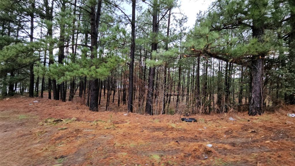 Hwy 31 Commercial Park - Land