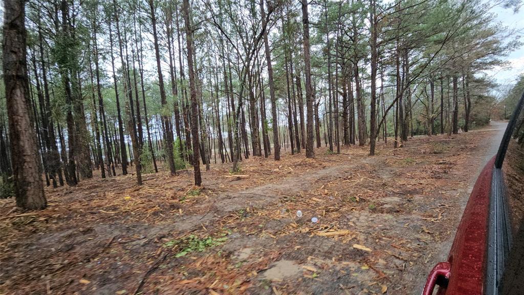 Hwy 31 Commercial Park - Land