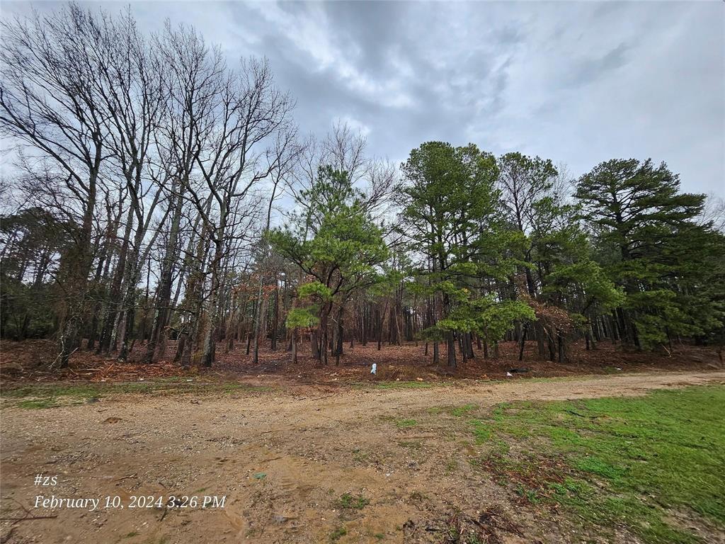 Hwy 31 Commercial Park - Land