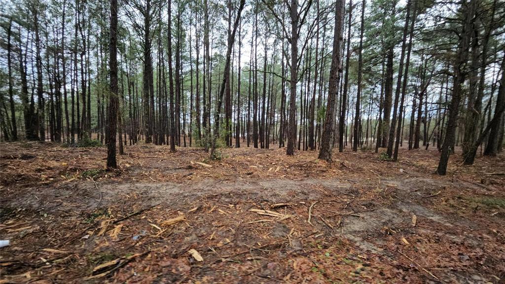 Hwy 31 Commercial Park - Land