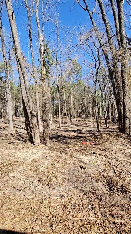 Hwy 31 Commercial Park - Land