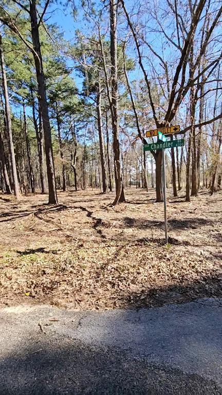 Hwy 31 Commercial Park - Land