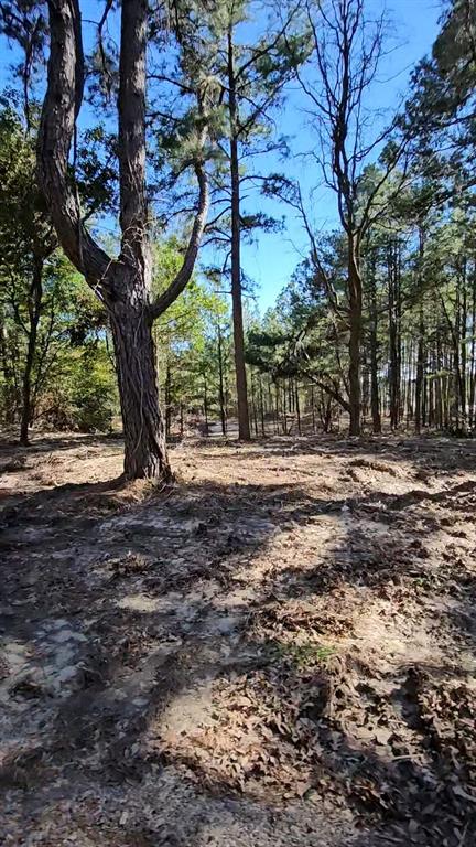 Hwy 31 Commercial Park - Land