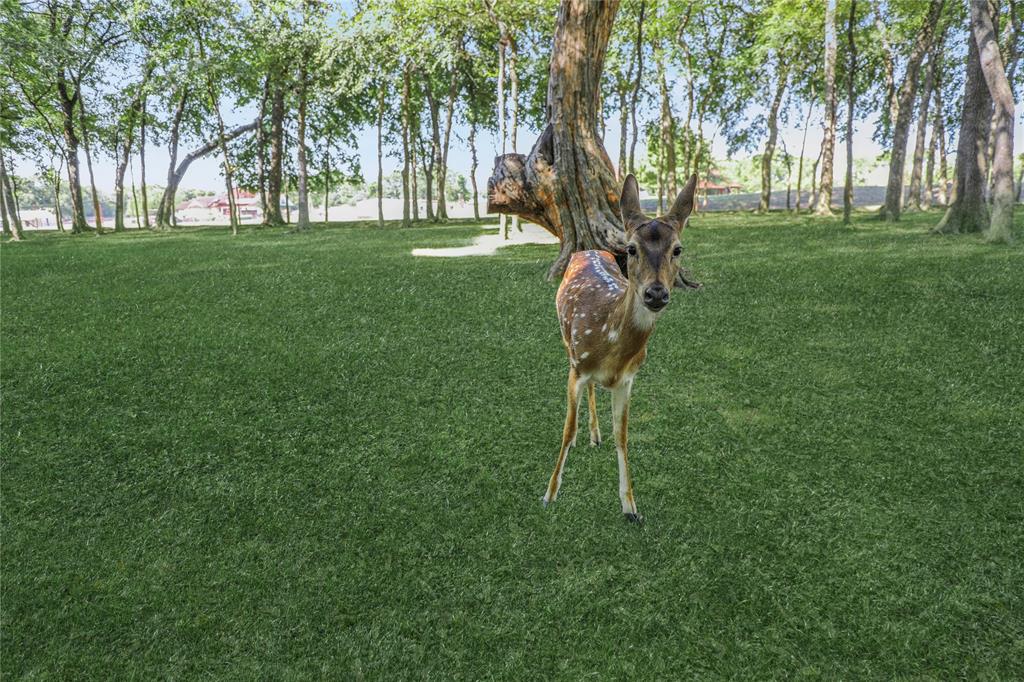 Wild Rose Farms - Residential