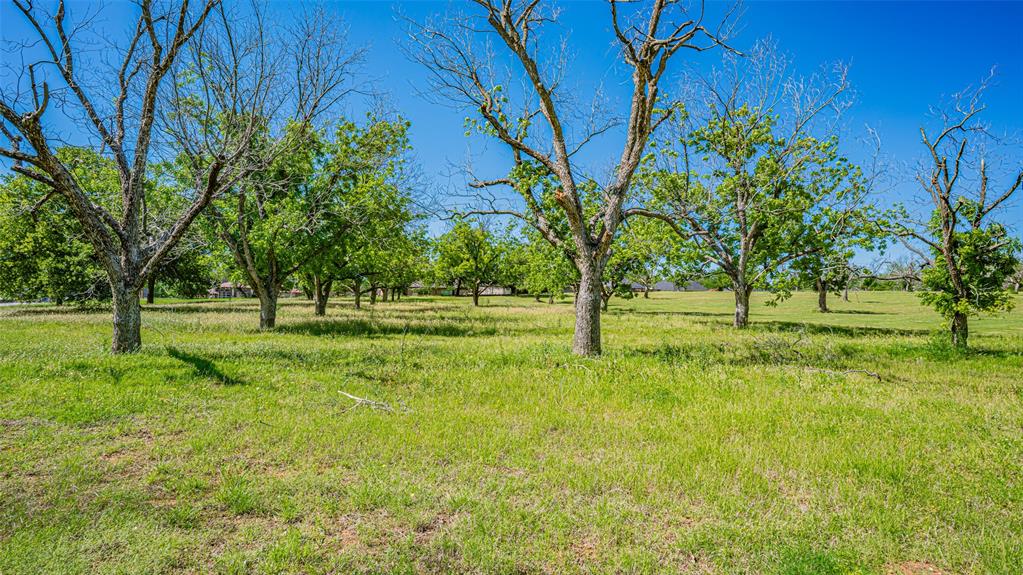 Pecan Plantation - Land
