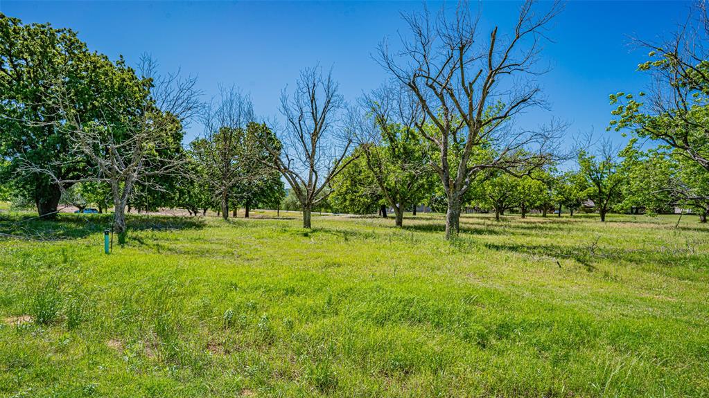 Pecan Plantation - Land