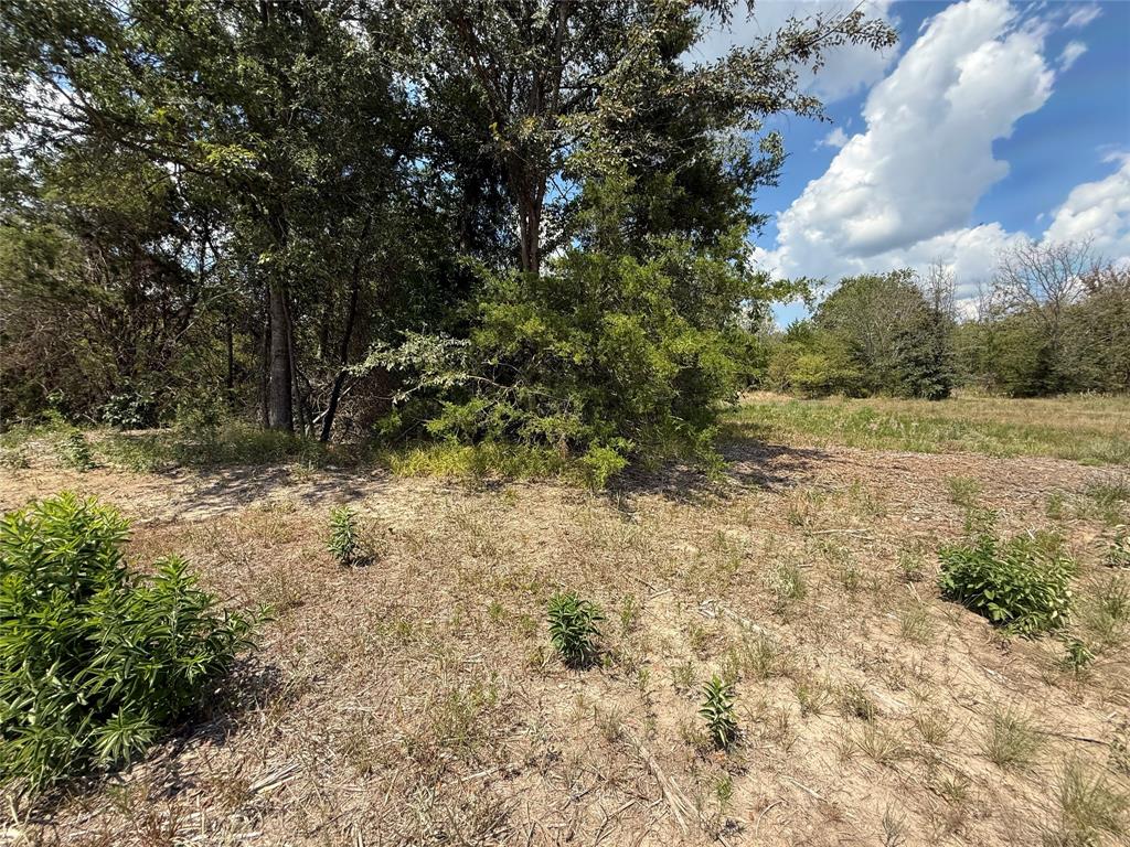 2424 County Road 3562