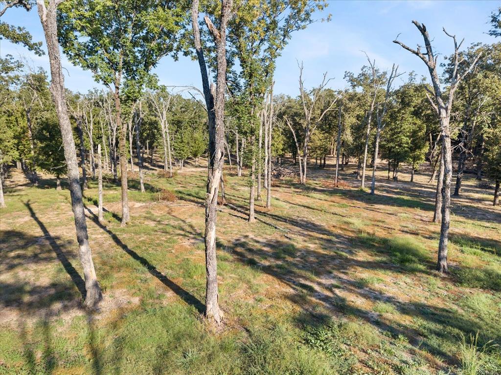 Lanier ASA H - Residential