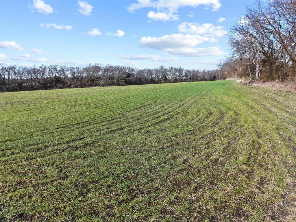 Grayson Co Unplatted - Land