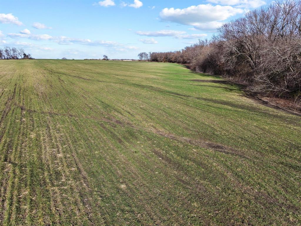 Grayson Co Unplatted - Land