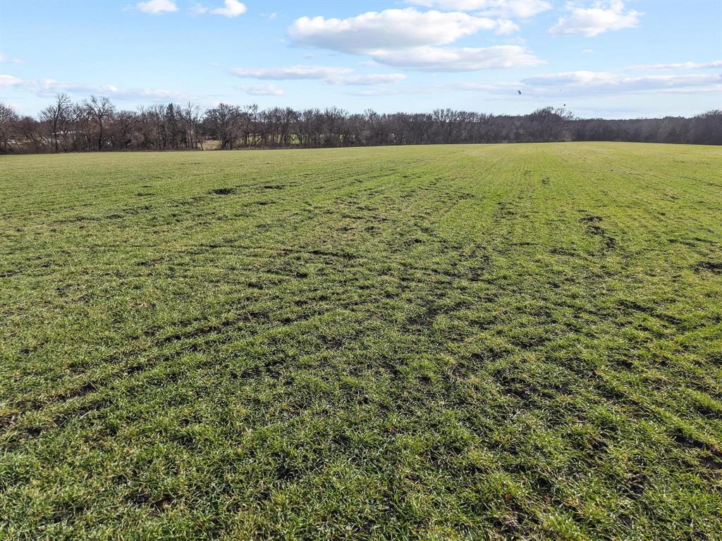 Grayson Co Unplatted - Land