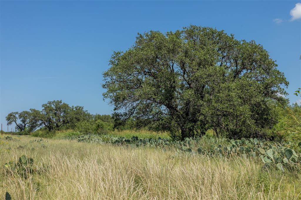 Fisher & Miller - Farm