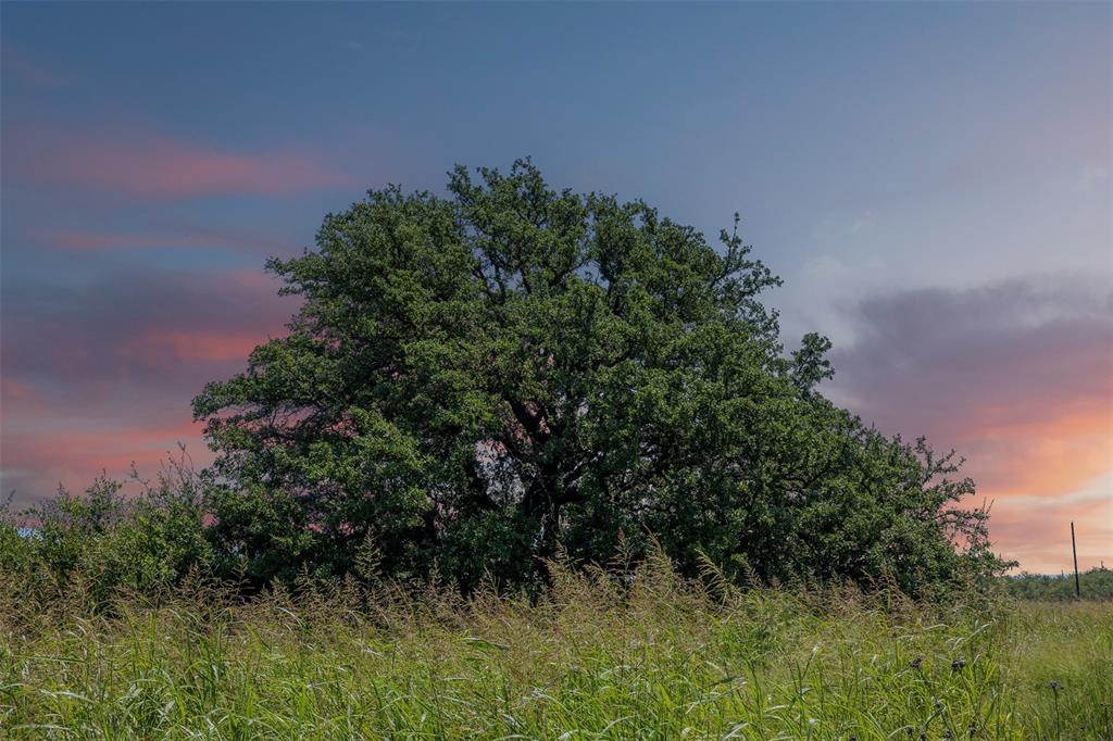 Fisher & Miller - Farm