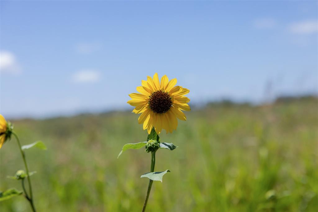 Fisher & Miller - Farm