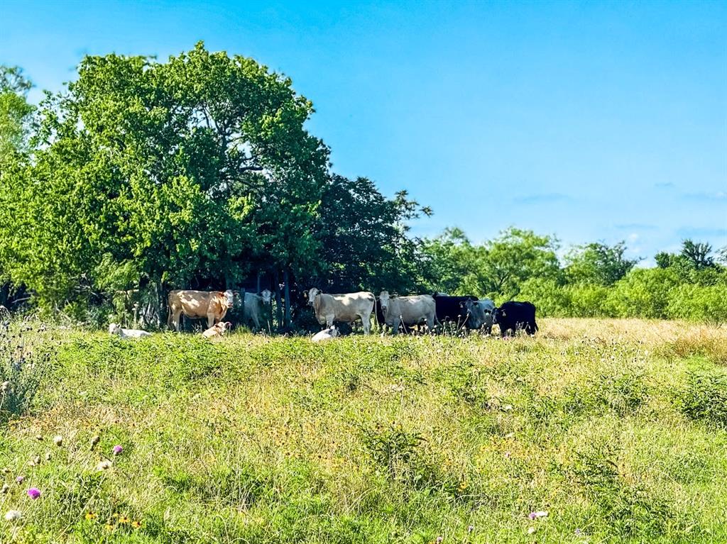 2434 County Road 656